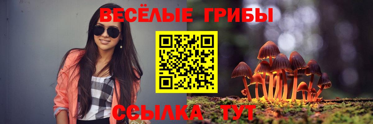 Псилоцибиновые грибы Psilocybe  Вход с VPN  даркнет сайт  Выборг  Псилоцибиновые грибы мухоморы 