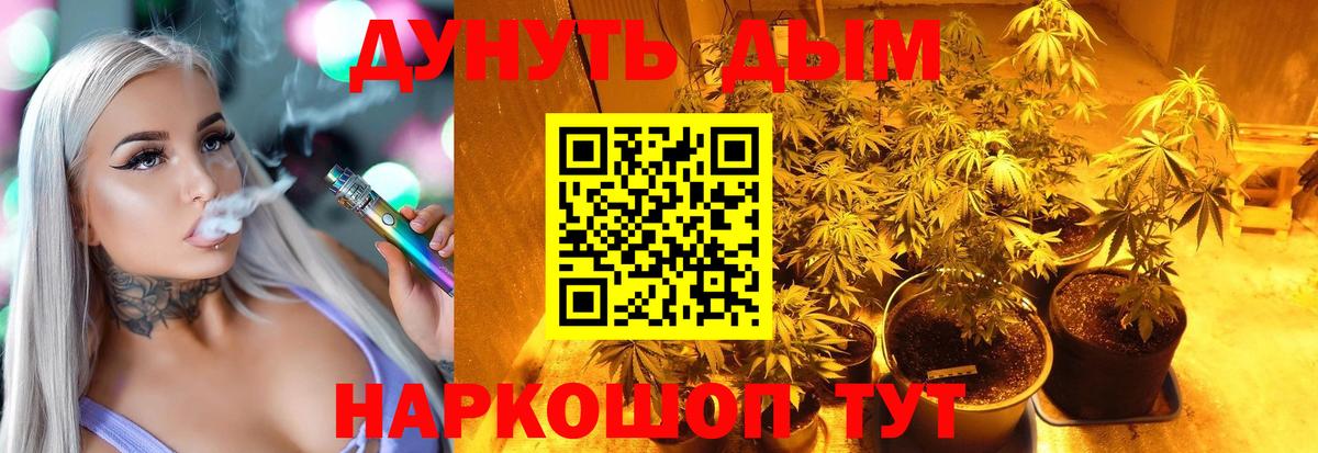 Конопля Bruce Banner  Вход с VPN  Бошки марихуана сатива  Выборг  Бошки марихуана VHQ 